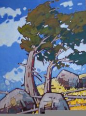 Summer Winds at the Naramata Bench - 40x30 - oil-canvas - SOLD
