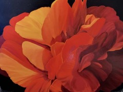 Don-Berger  - “Flamenco” 36 X 48 - Oil / Canvas