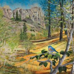 "Bluebirds Okanagan" 30x40 Acrylic/Canvas $3000 Framed