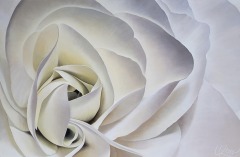 Laurie Koss - Begonia-33 - 24-X-36 - Acrylic on Canvas