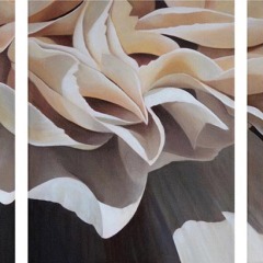 Carnation-19 triptych - 11" x 33"  -  Acrylic on Canvas