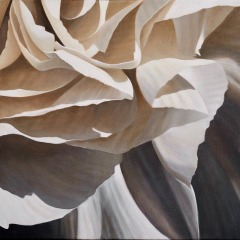 Laurie Koss - Carnation-20 - 20" x 20" -  Acrylic on Canvas