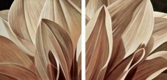 Laurie Koss - Dahlia -5-diptych - 12" x 24"  -  Acrylic on Canvas