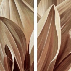 Dahlia -5-diptych - 12" x 24"  -  Acrylic on Canvas