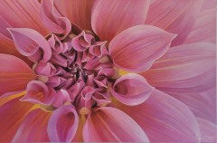 Laurie Koss - Dahlia - 8 - 24"- x 36" - Acrylic on Canvas