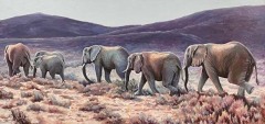 Ray Swirsky  - The-Elephants-of-Little-Karoo-23-X-48-Oil-Canvas-640