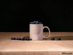 Blueberries-12x16-oil-panel-SOLD