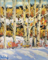 Ron Hedrick - Winter Aspens - 10 x 8 - Oil / Canvas