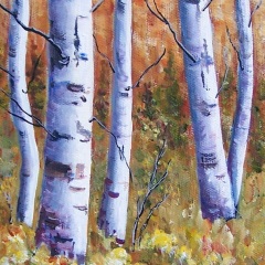 "Autumn Birches" 8x6 Acrylic/Canvas